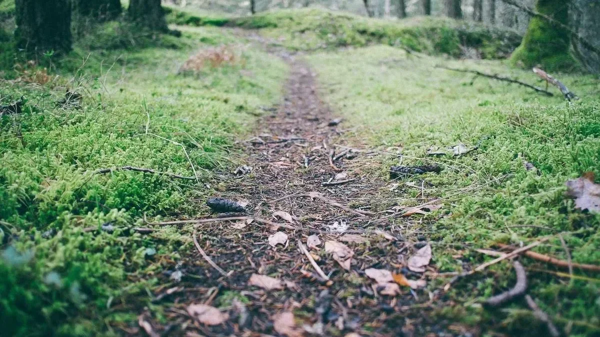 Childhood Roots of Social Anxiety? Psychologists Reveal How Emotional Abuse Affects Lifelong Interpersonal Relationships