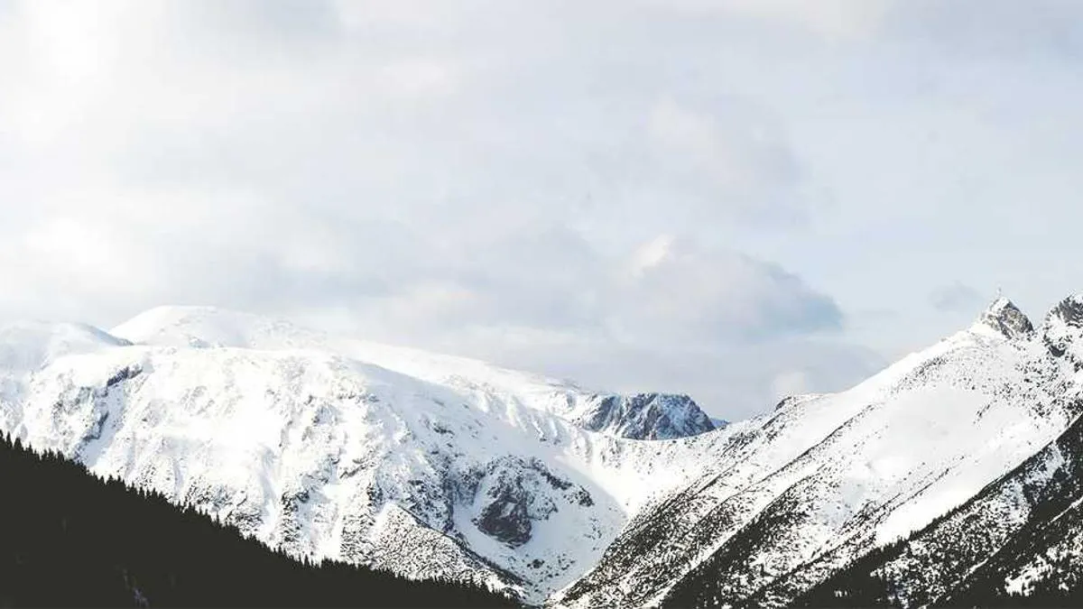 How to Tell if Someone Truly Loves You? Three Key Signals from Scientific Research