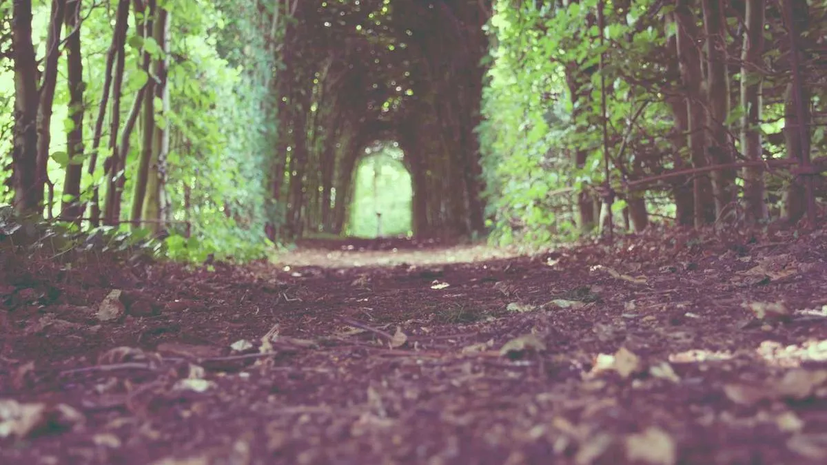 Socially 'Awkward' People Might See More Clearly: Unique Advantages of the Autism Spectrum