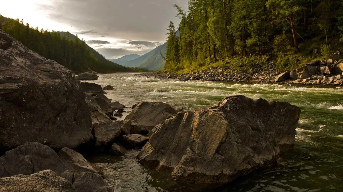 Mental Cold: Why Isn't Depression Just Being Dramatic? Psychologists Reveal the Psychological Code for 300 Million People