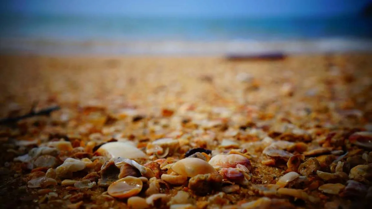 Understanding Patient's Inner World Through Decision-Making: Research on PTSD Patients' Decision Behavior