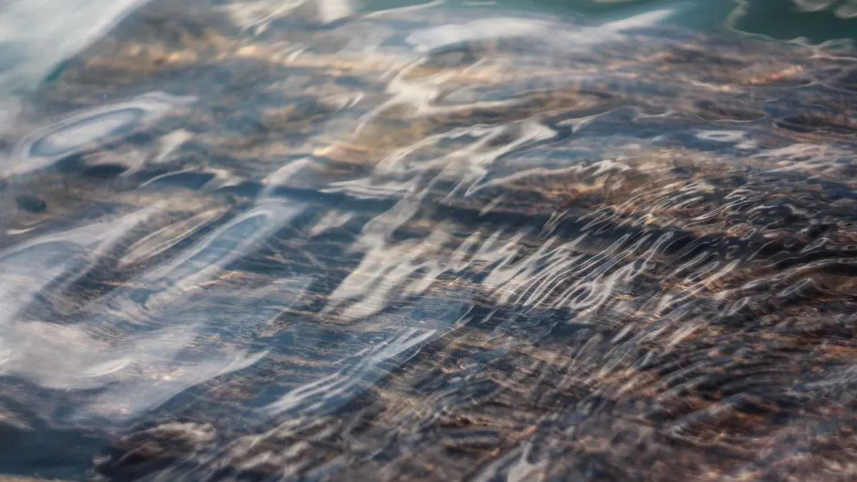 Psychological Trauma and Emotion Management Behind Adolescent Aggressive Behavior