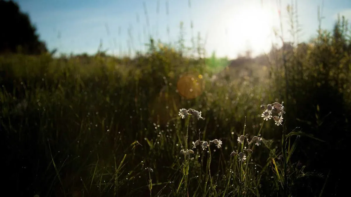 Psychological Analysis of Adolescent Self-Harm Behavior's Impact on Family Systems