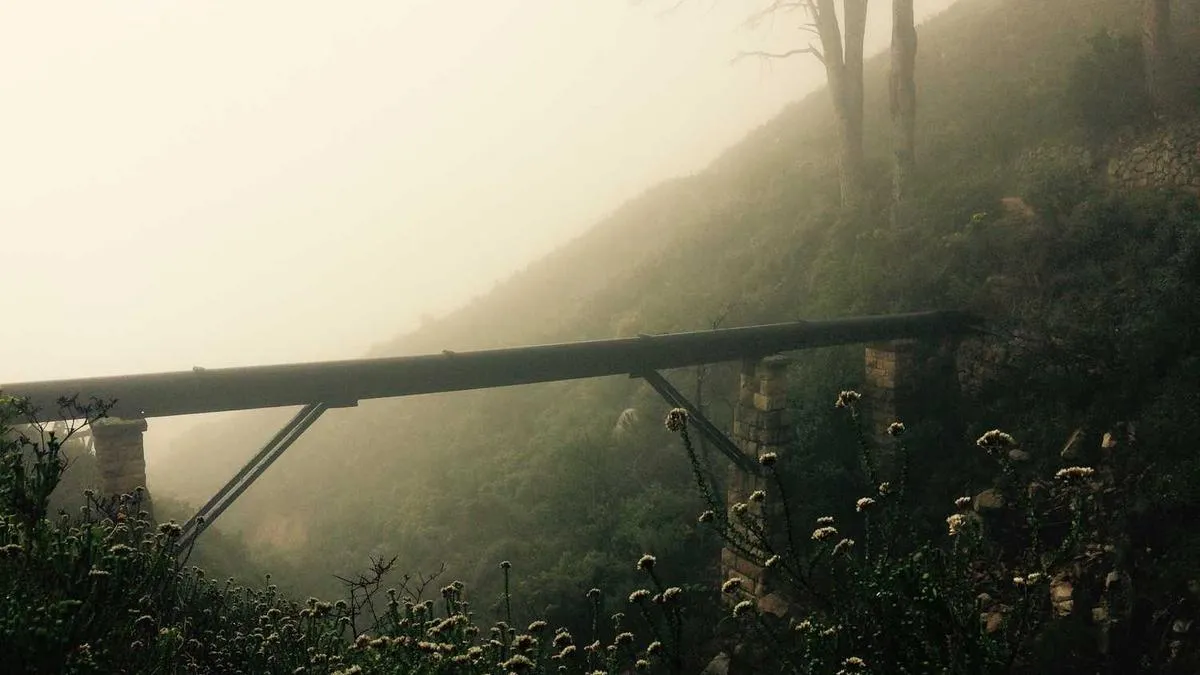 # Parental Perfectionism? Psychology Research Reveals the Truth