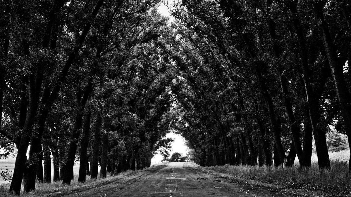 # Can't Read People's Expressions? Alexithymia Might Be the Reason