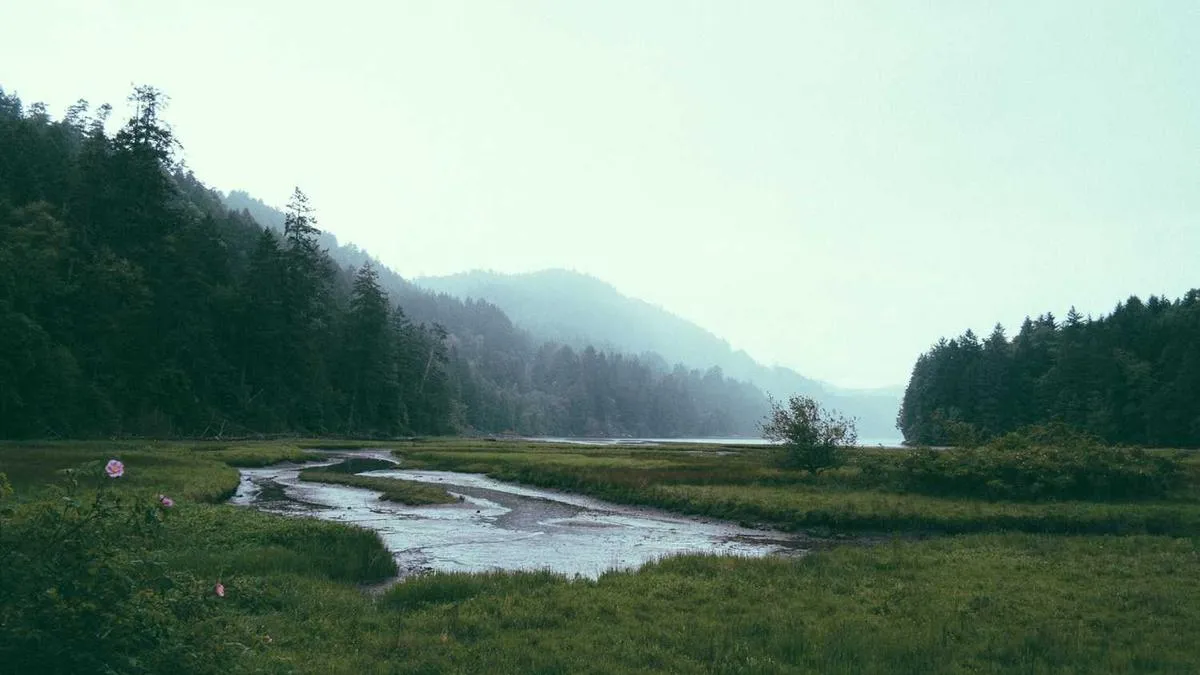 # What to Do When Clients Suddenly Confess? Essential Ethical Response Guide for New Counselors