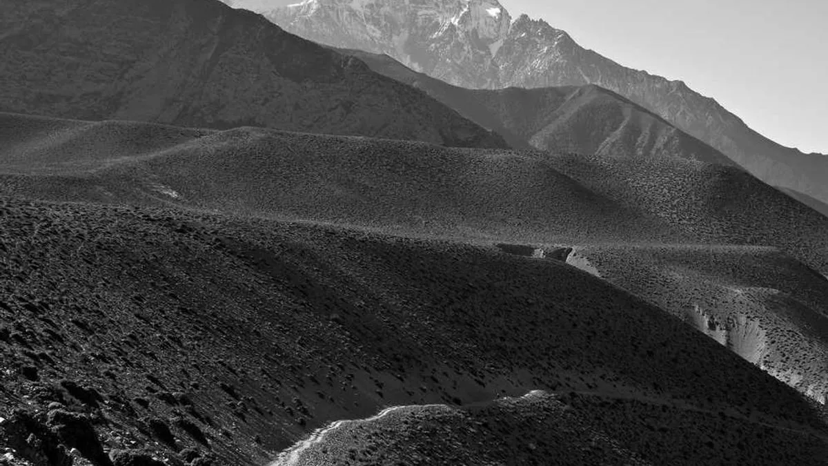 Do Kids Get More Depressed The More They Play with Phones? Psychologists Reveal the Vicious Cycle of Phone Dependence and Depression