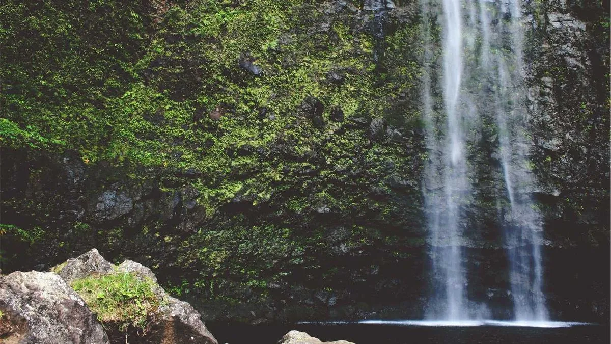 How to Move Beyond Grief After Losing a Loved One? Psychologists Reveal the 