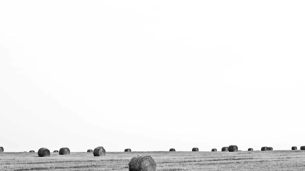 Is Adolescent Rebellion Different for Boys and Girls? Psychologists Reveal Distinct Causes and Coping Strategies