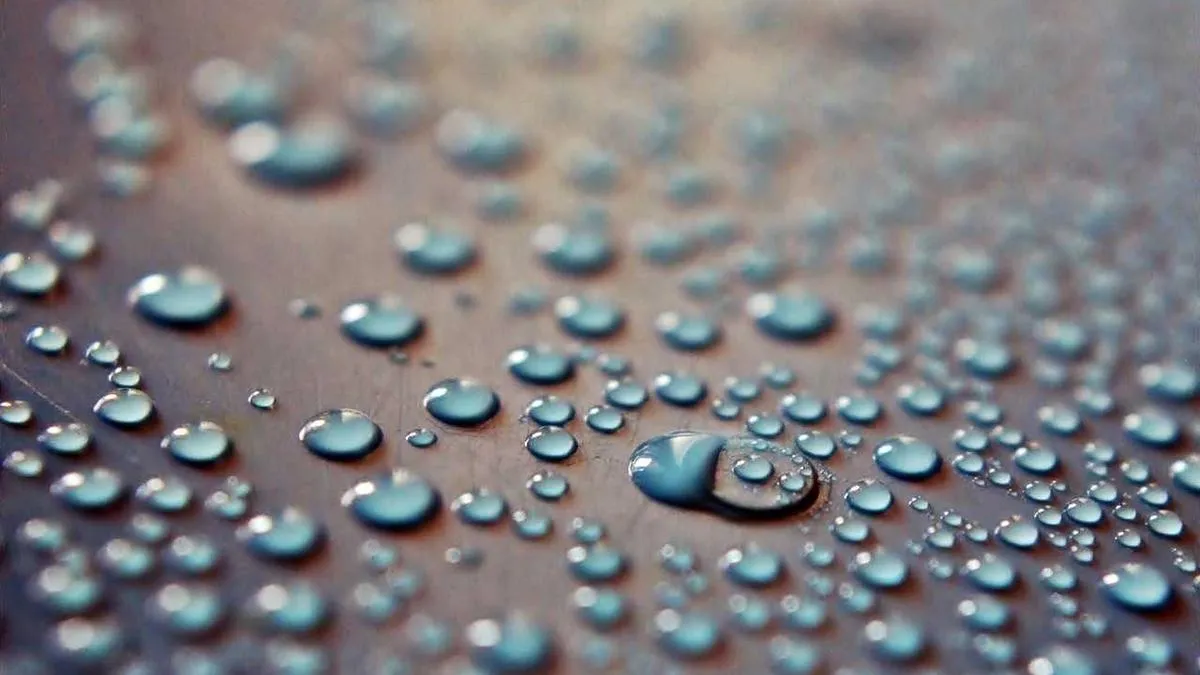 Emotional Cocktail Beneficial for Health? Psychologists Reveal the Amazing Effects of Mixed Emotions