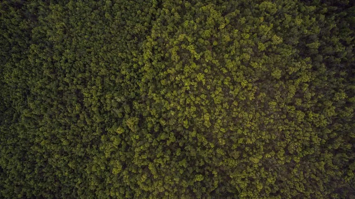 Do Emotional Expression Patterns Determine Treatment Outcomes? Psychologists Reveal the 