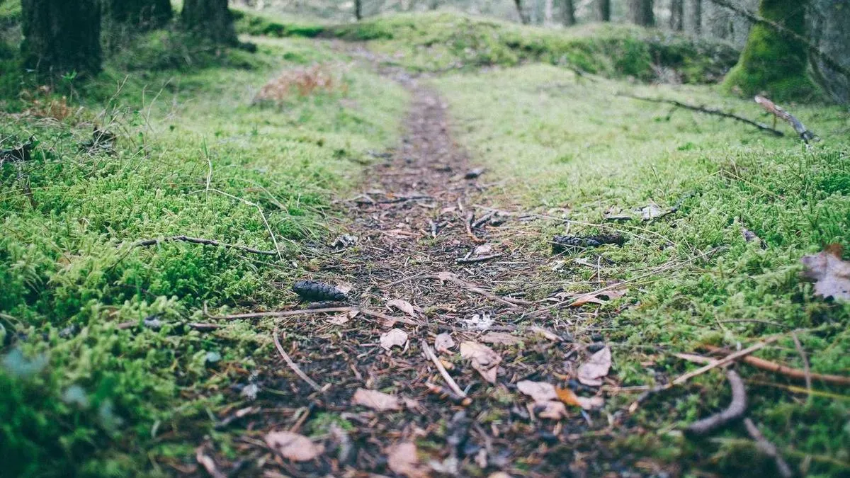 Childhood Roots of Social Anxiety? Psychologists Reveal How Emotional Abuse Affects Lifelong Interpersonal Relationships