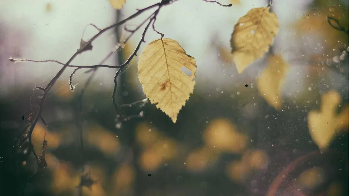 Childhood Roots of Social Anxiety? Psychologists Reveal How Shame Affects Your Social Abilities