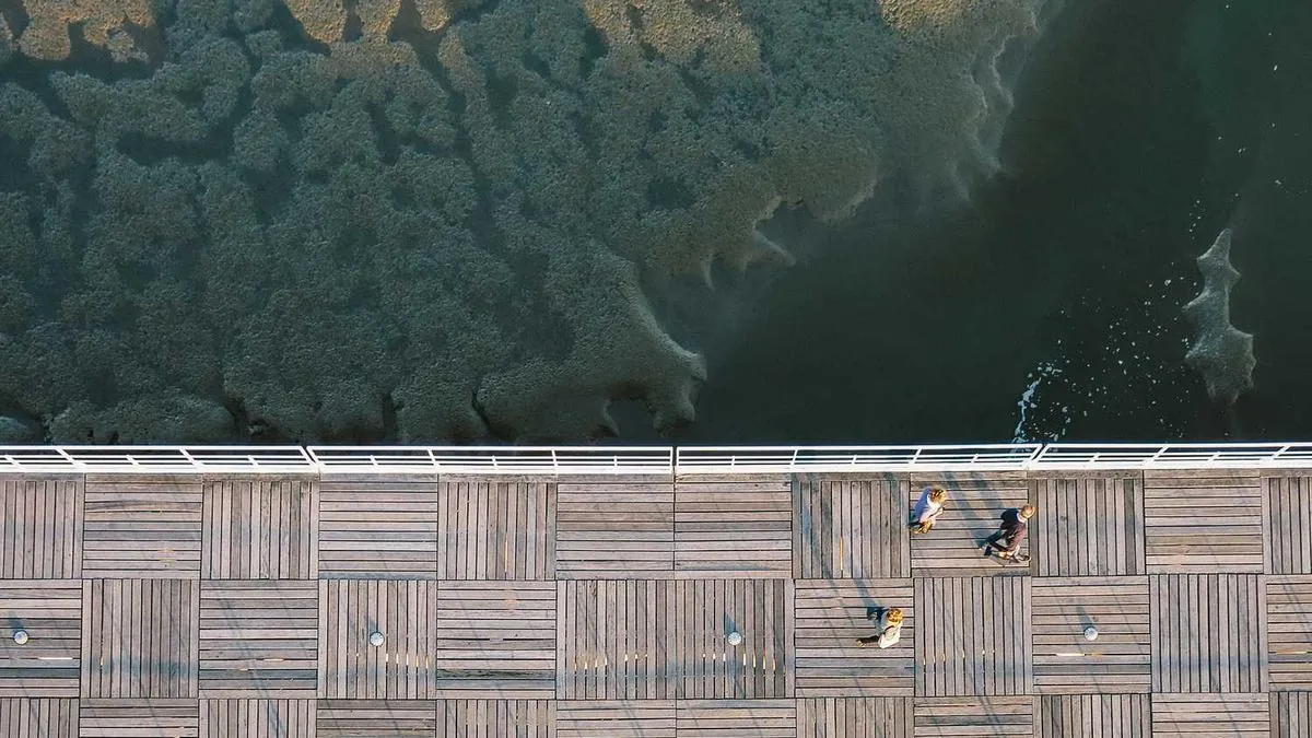 Workplace Phone Anxiety: Poison or Sweetener? Psychologists Reveal How Fear of Missing Out Affects Job Performance