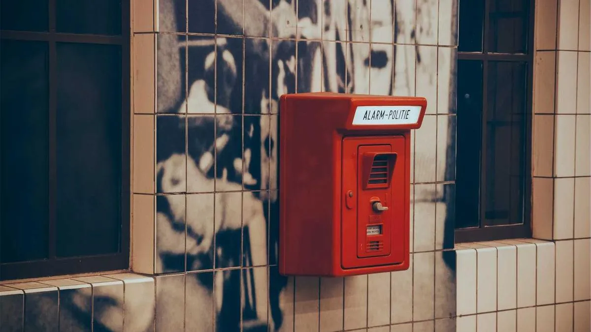 # How Does Childhood Abuse Shape Cold Personality? Psychologists Reveal the Traumatic Roots of Emotional Patterns