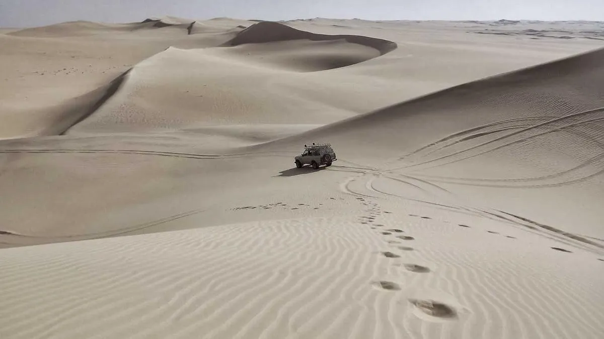 # Psychotherapist Growth Secrets: Why Deliberate Practice is More Important Than Talent? Psychologists Reveal the Golden Rule of Efficient Learning