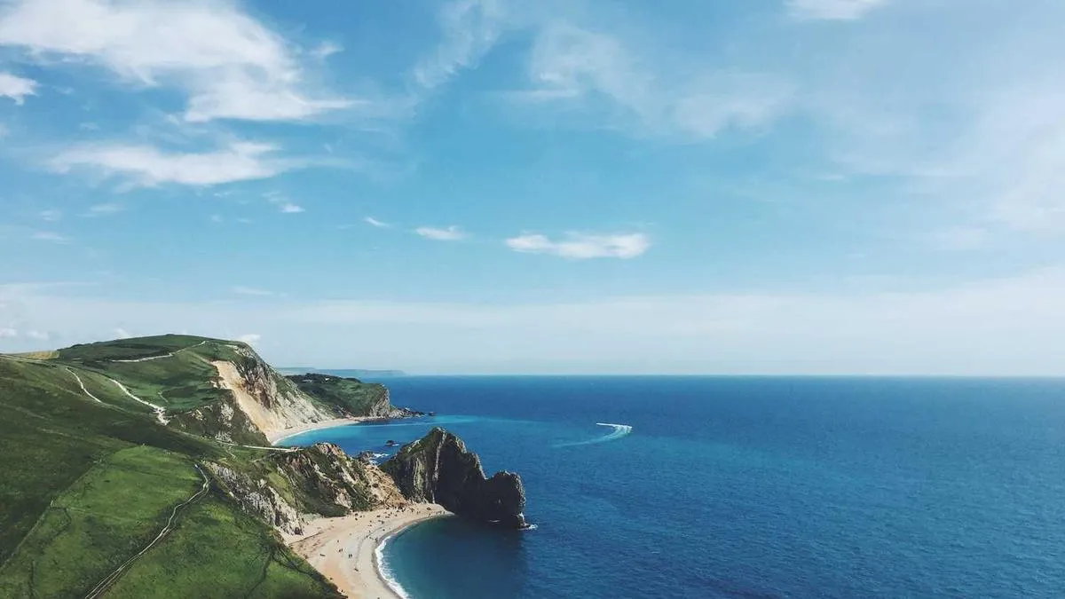 # Case Conceptualization: Psychotherapists' 