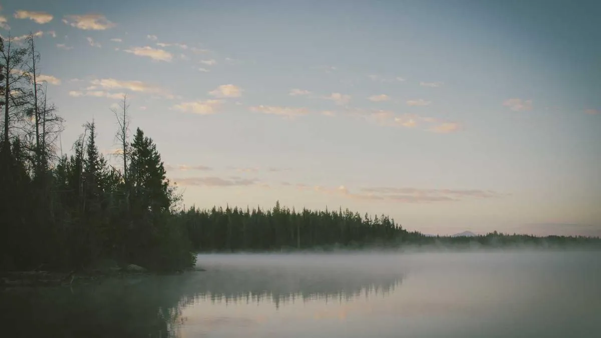 # The Trust Code of Psychological Counseling: Why Does the First Meeting Determine Treatment Outcomes? Psychologists Reveal Secrets to Building Therapist-Client Relationships