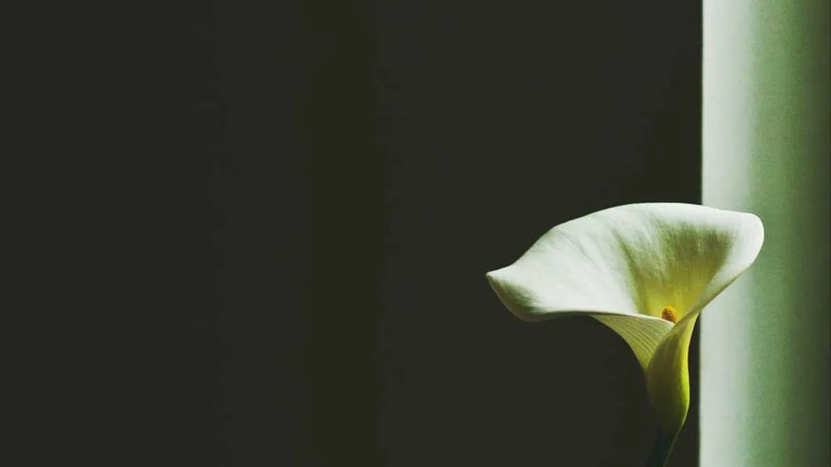 # Police Officers' Sleep Crisis: Why Does High Stress Lead to Insomnia? Psychologists Reveal the Three Major Culprits of Burnout