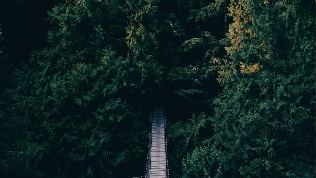 # The Healing Code of Art: Why Can Drawing and Dancing Cure Psychological Trauma? Psychologists Reveal the Magical Power of Creative Therapy