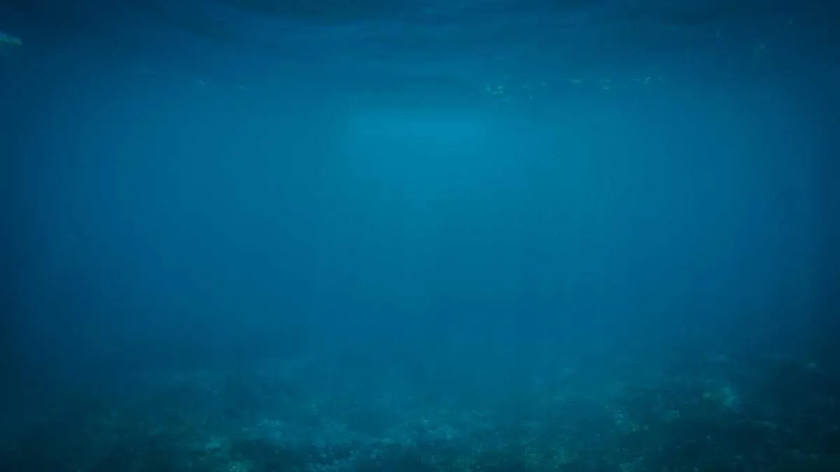 Dual Dilemma: Why Are Autistic Individuals More Prone to OCD? Psychologists Reveal the Inner World of Comorbid Patients