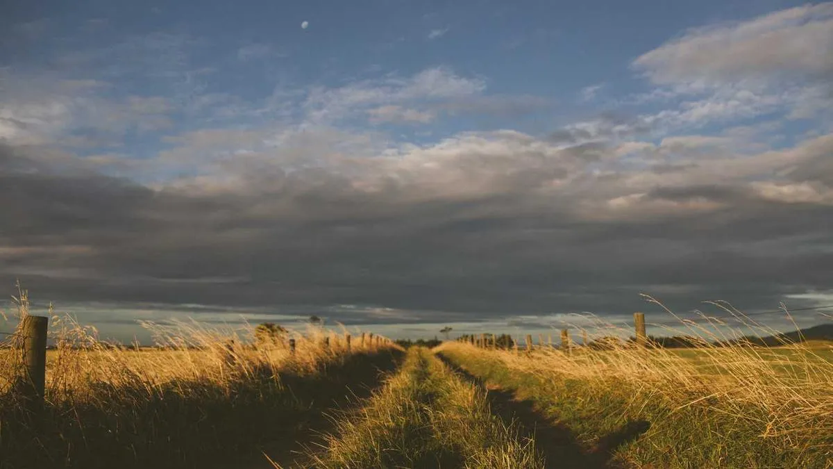 # The Healing Code of Metaphor: Why Can Drawing Express Inner Thoughts? Psychologists Reveal the Magical Power of Art Therapy